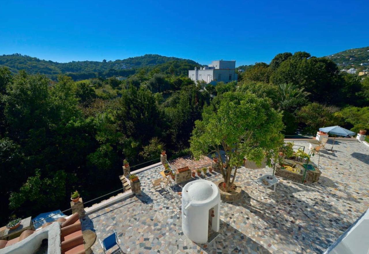 Barano dʼIschia Villa Vincenzo Di Meglio מראה חיצוני תמונה