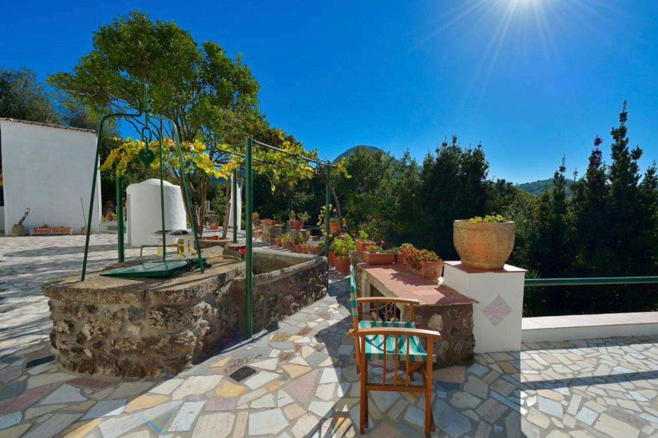 Barano dʼIschia Villa Vincenzo Di Meglio מראה חיצוני תמונה
