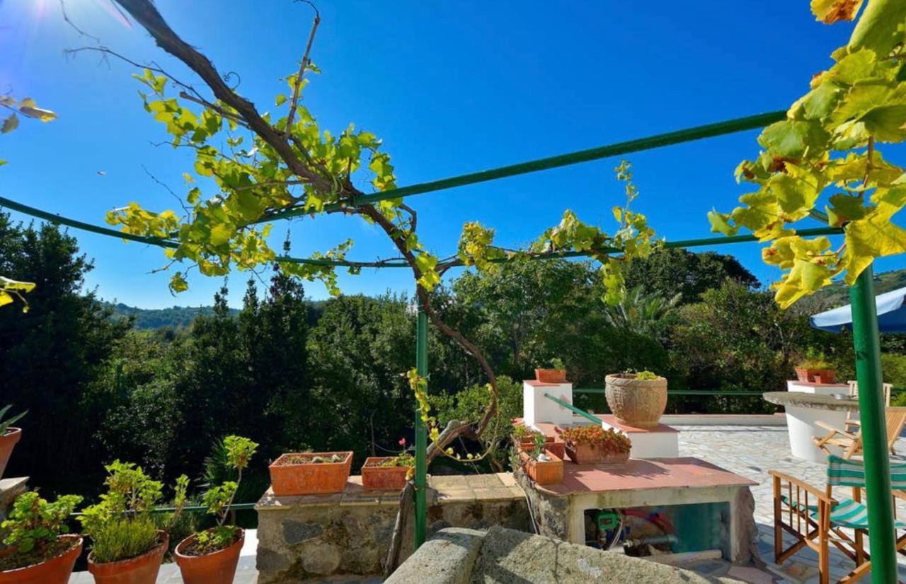 Barano dʼIschia Villa Vincenzo Di Meglio מראה חיצוני תמונה