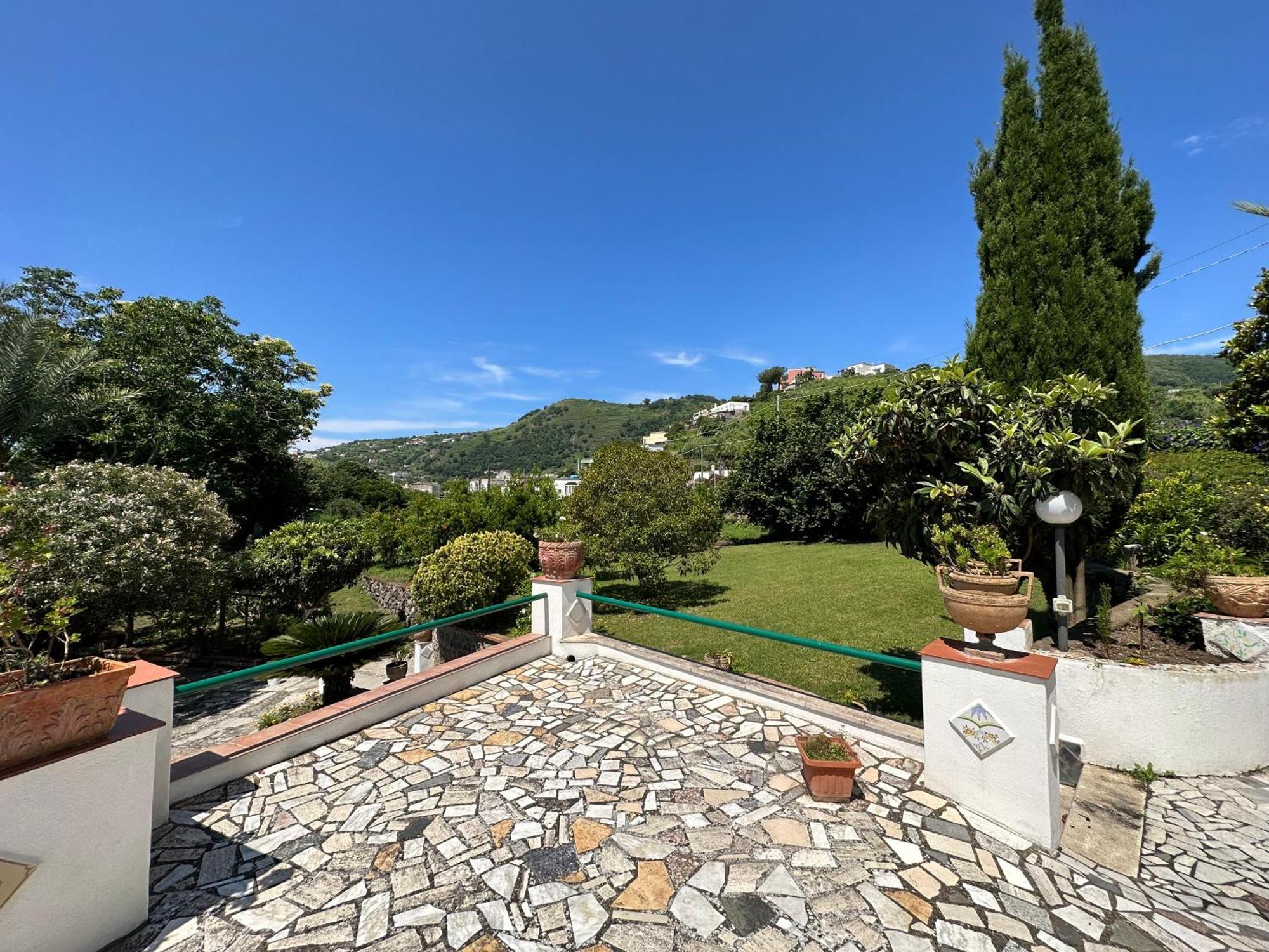 Barano dʼIschia Villa Vincenzo Di Meglio מראה חיצוני תמונה