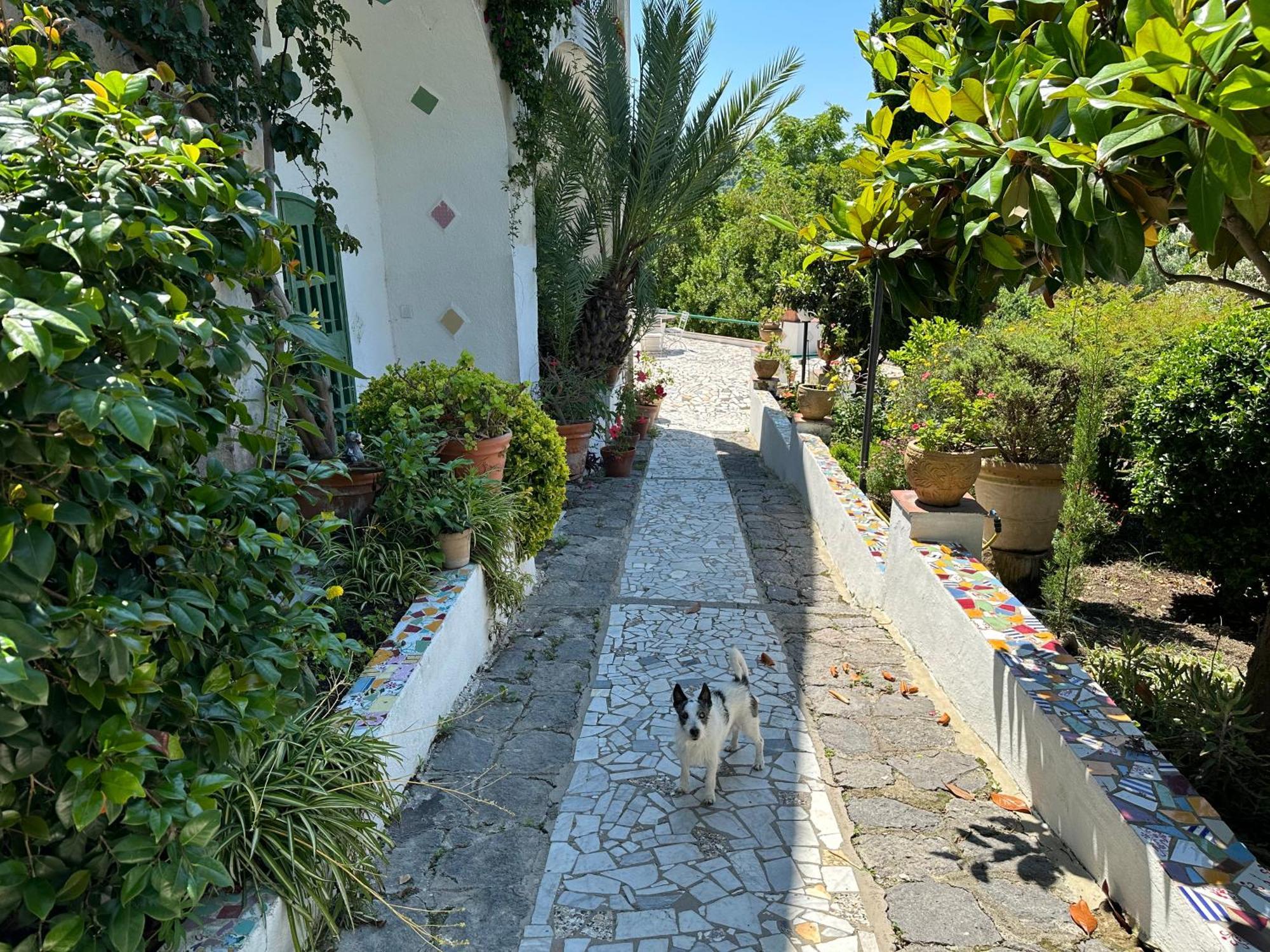 Barano dʼIschia Villa Vincenzo Di Meglio מראה חיצוני תמונה