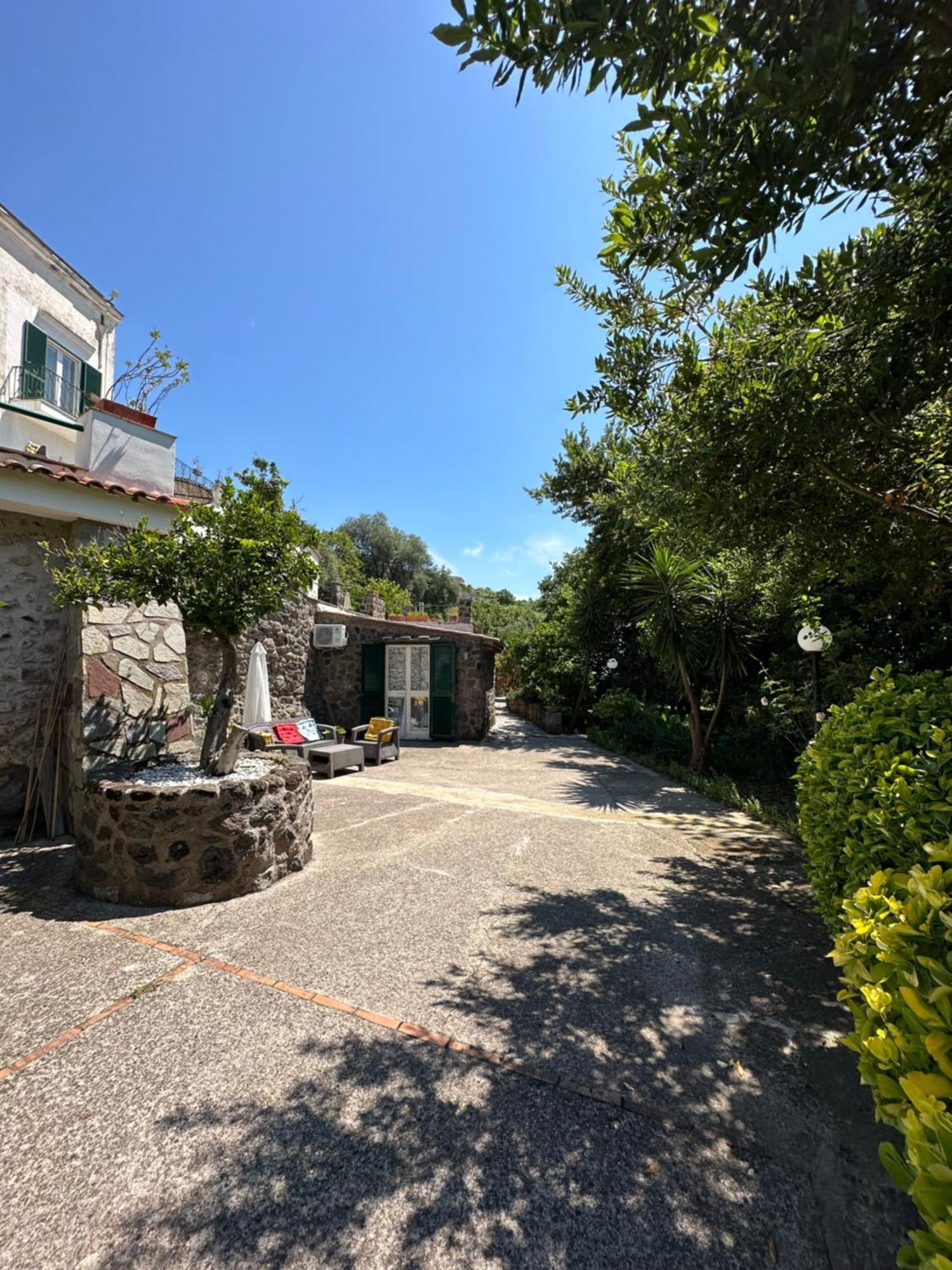 Barano dʼIschia Villa Vincenzo Di Meglio מראה חיצוני תמונה