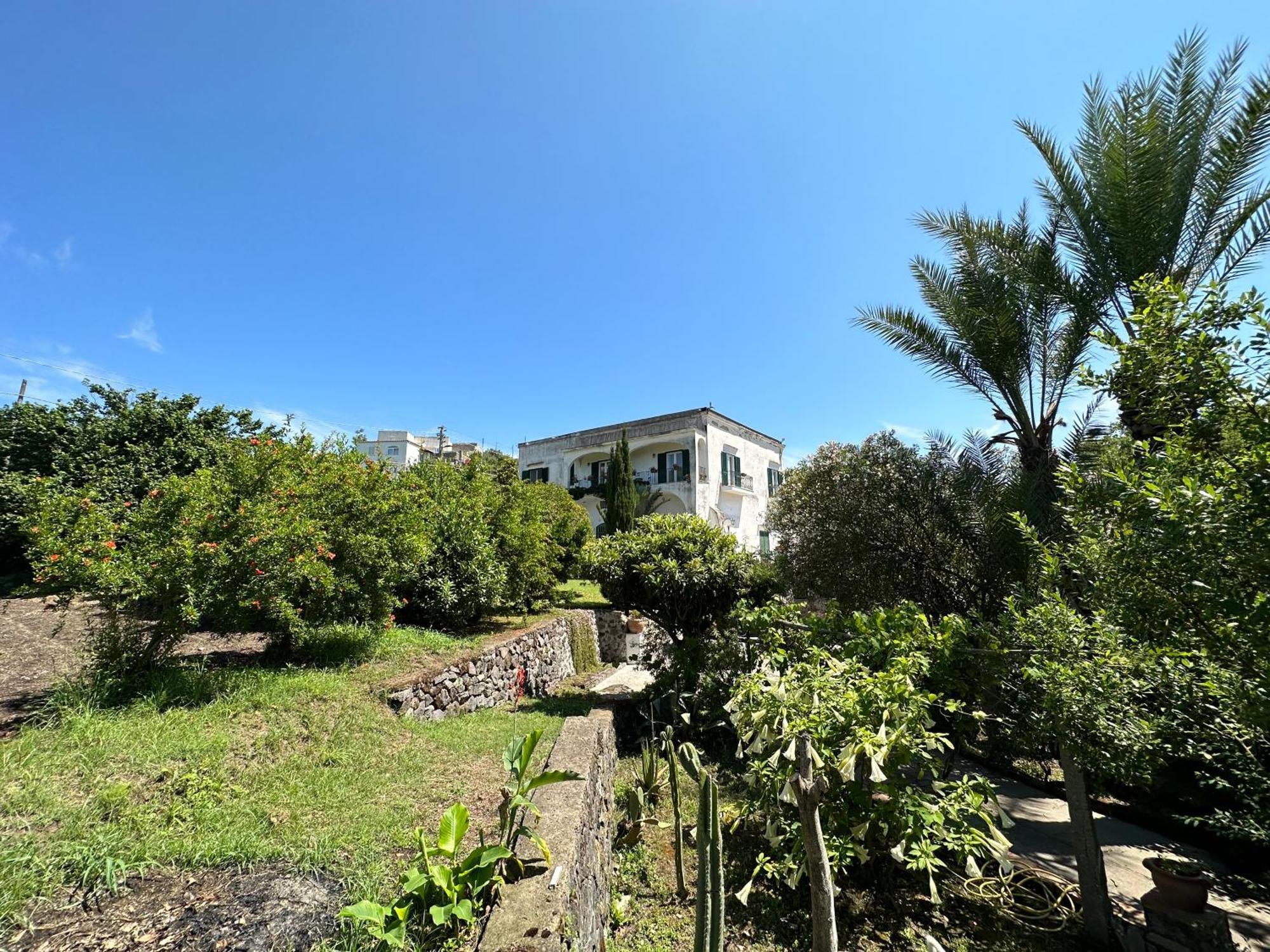 Barano dʼIschia Villa Vincenzo Di Meglio מראה חיצוני תמונה