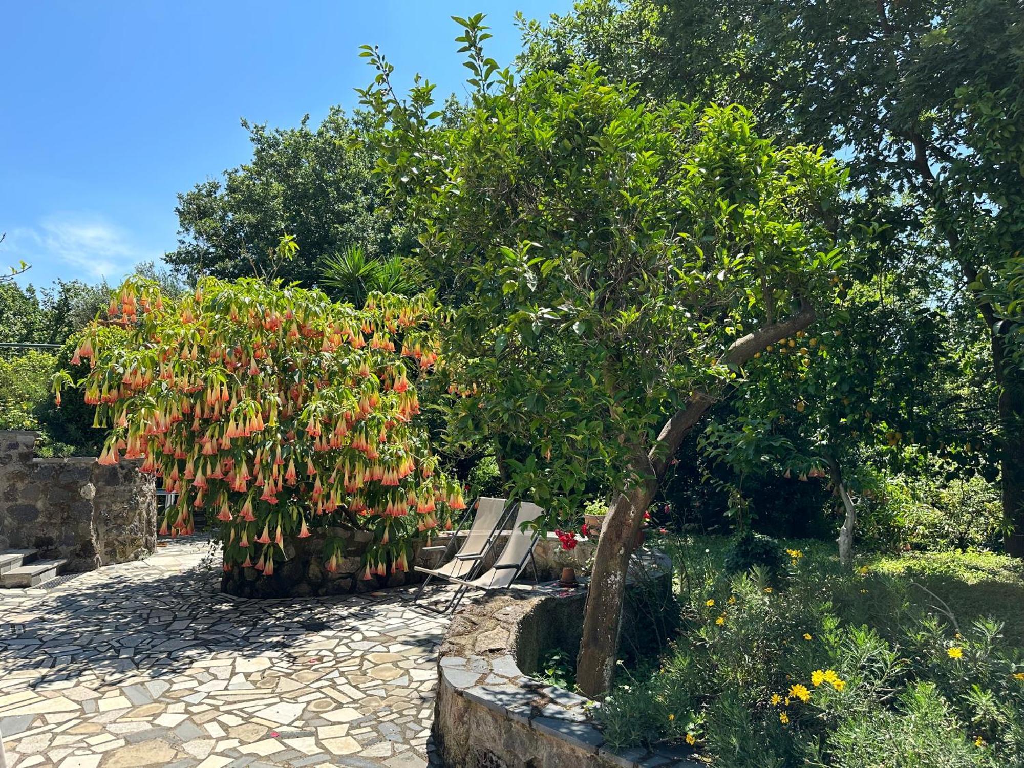 Barano dʼIschia Villa Vincenzo Di Meglio מראה חיצוני תמונה