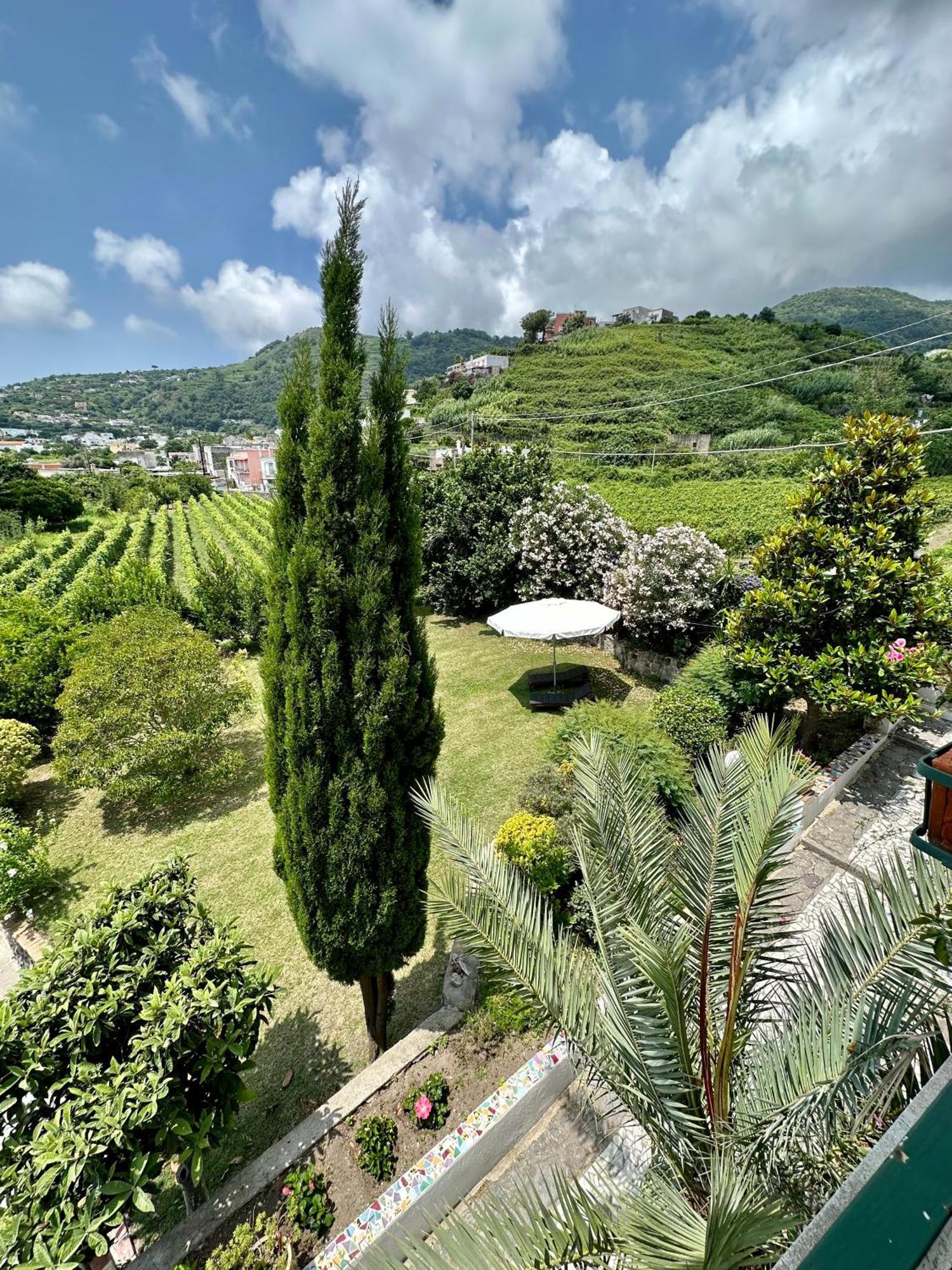 Barano dʼIschia Villa Vincenzo Di Meglio מראה חיצוני תמונה