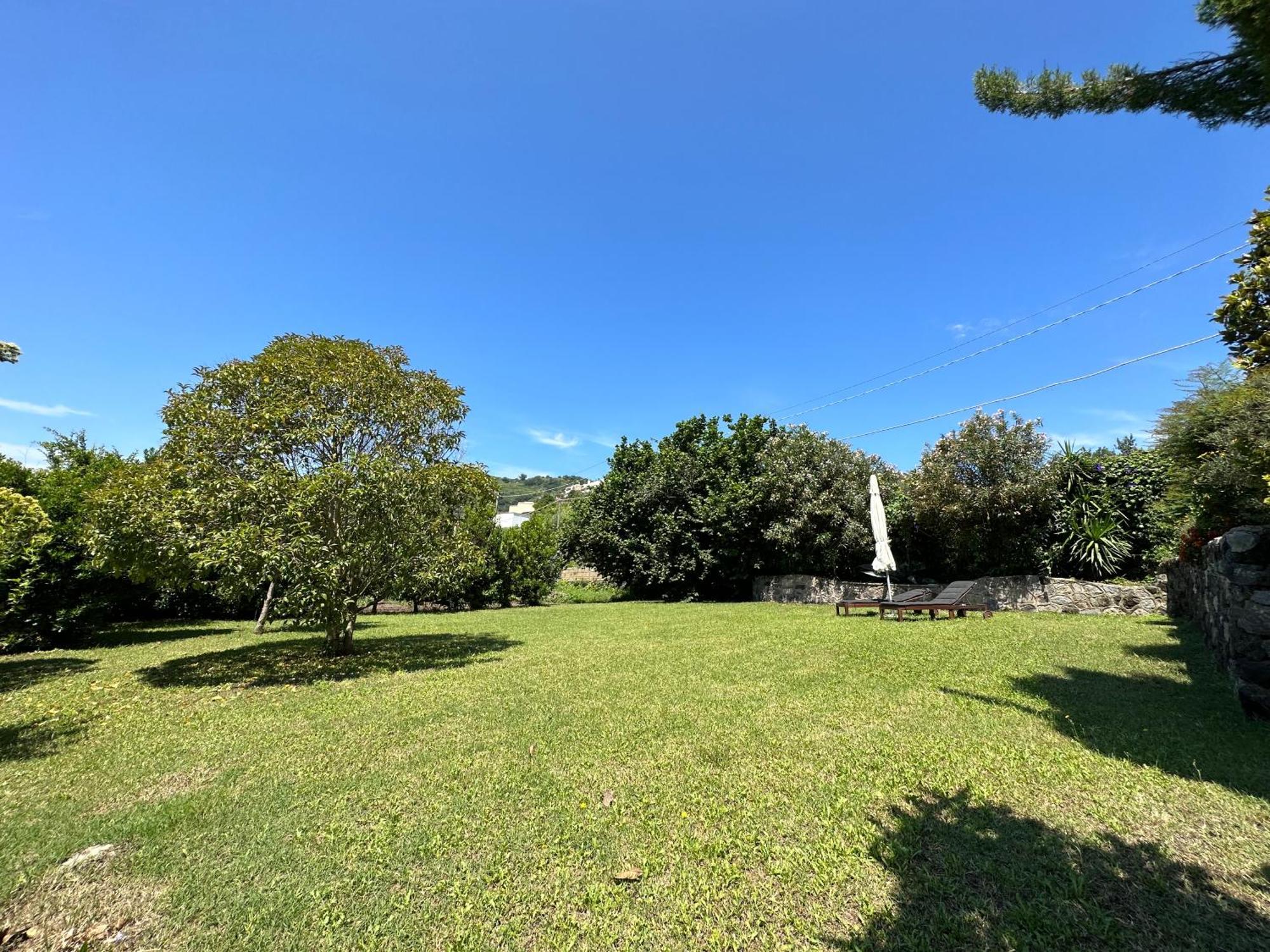 Barano dʼIschia Villa Vincenzo Di Meglio מראה חיצוני תמונה