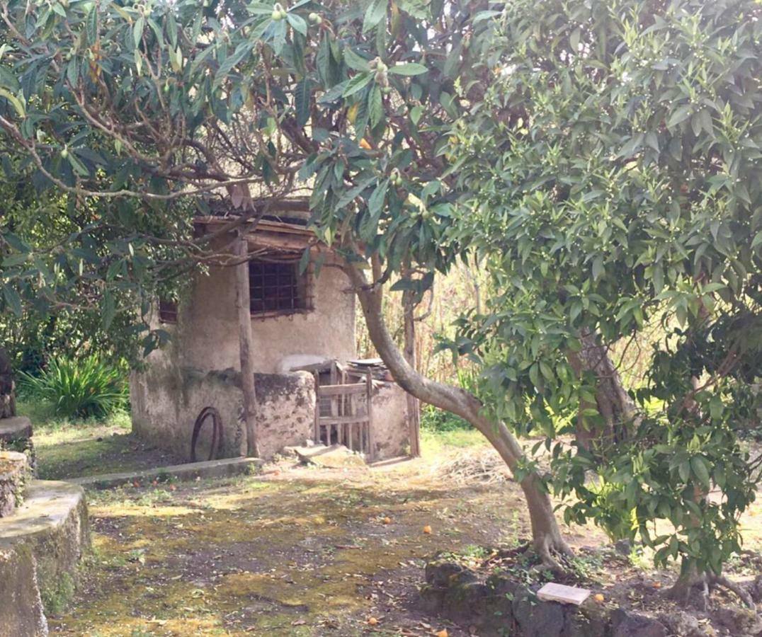Barano dʼIschia Villa Vincenzo Di Meglio מראה חיצוני תמונה