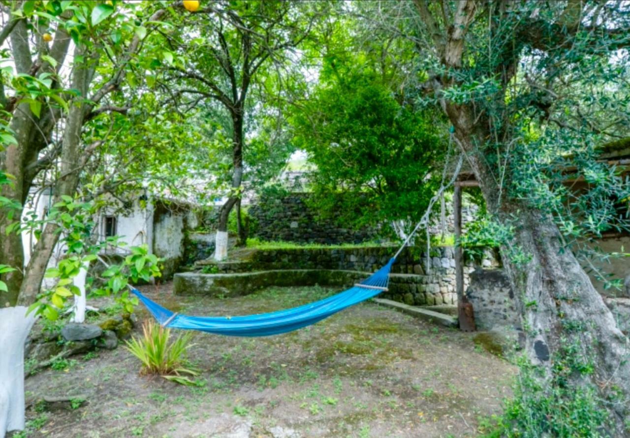 Barano dʼIschia Villa Vincenzo Di Meglio מראה חיצוני תמונה