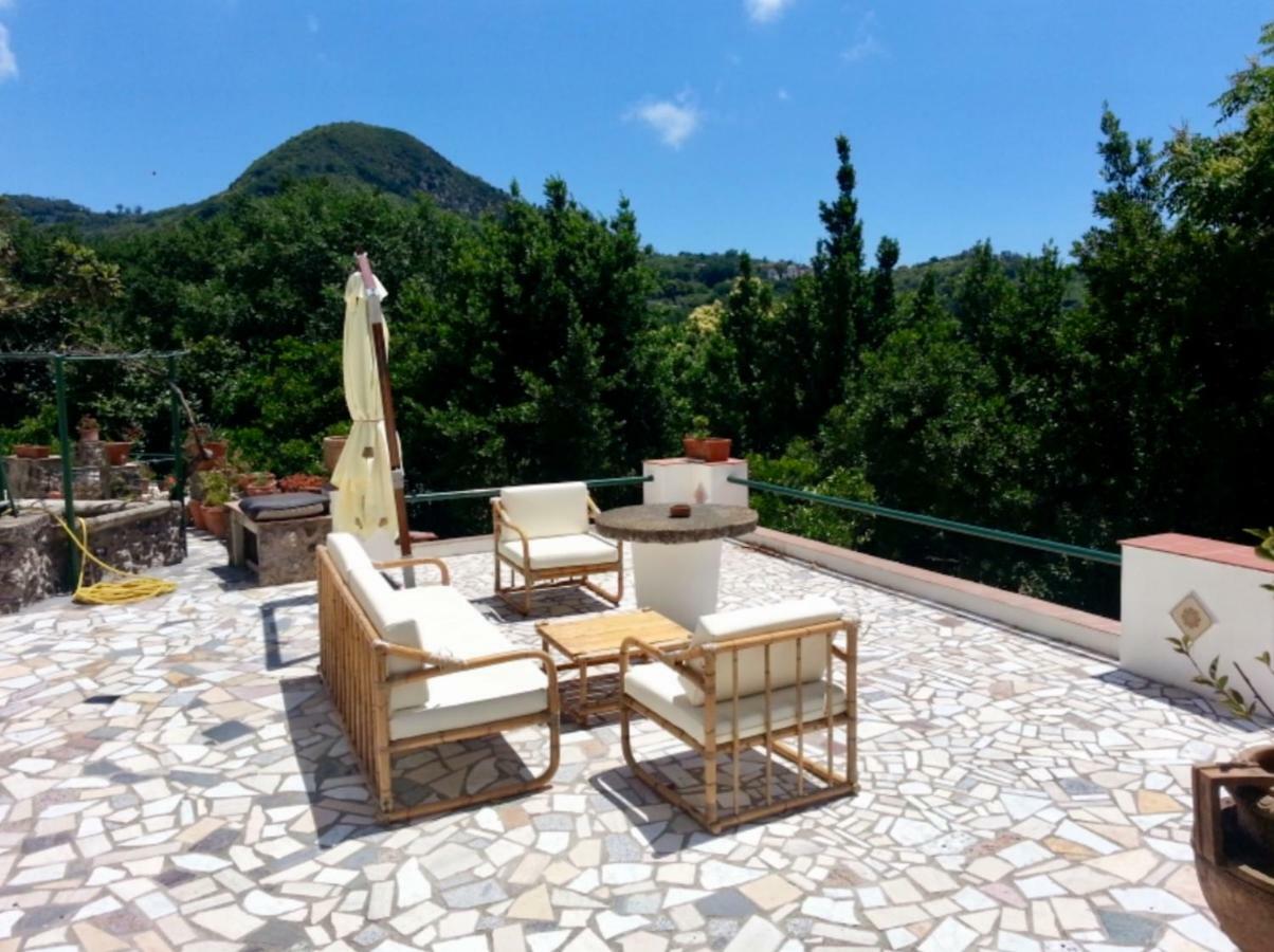 Barano dʼIschia Villa Vincenzo Di Meglio מראה חיצוני תמונה
