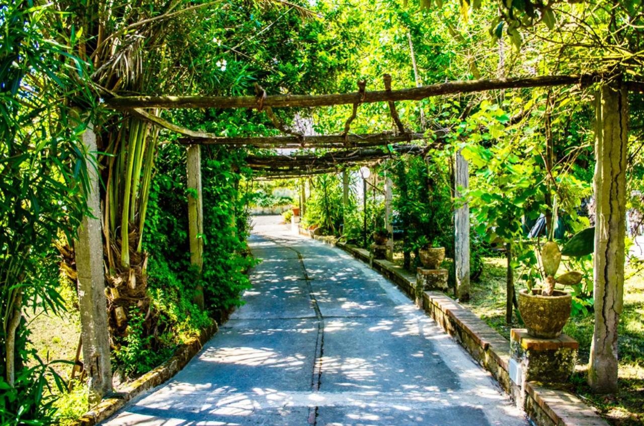 Barano dʼIschia Villa Vincenzo Di Meglio מראה חיצוני תמונה