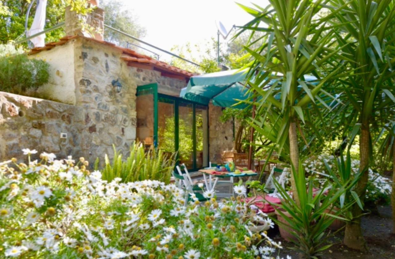Barano dʼIschia Villa Vincenzo Di Meglio מראה חיצוני תמונה