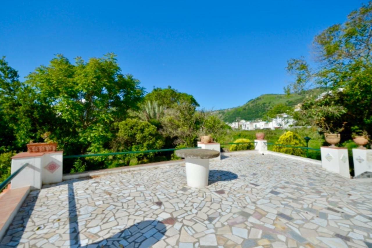 Barano dʼIschia Villa Vincenzo Di Meglio מראה חיצוני תמונה